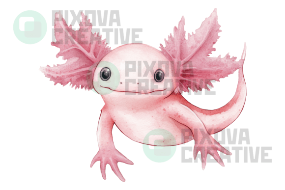 Axolotl Graphic PNG Watercolor in Illustrations