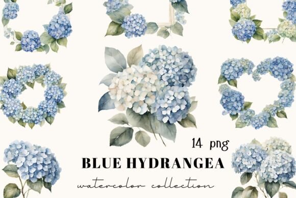 Blue Hydrangeas Watercolor Illustrations for Editorial Design