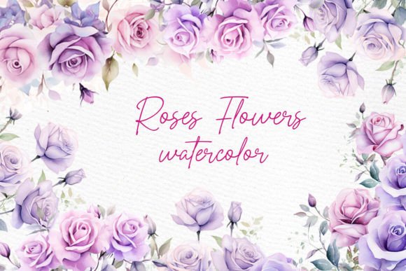 Purple Roses Clipart Watercolor Illustrations Review
