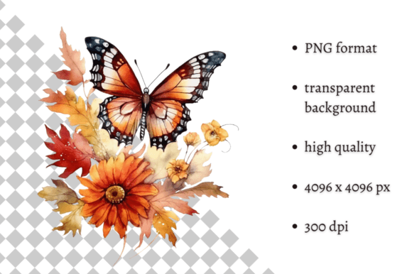 Watercolor Autumn Butterflies Flowers Illustrations Review