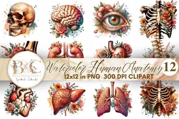 Watercolor Human Anatomy Illustrations for Crafters