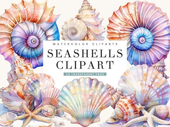 Watercolor Seashells Illustrations for Editorial Design