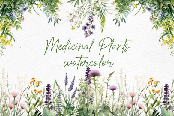 Watercolor Wild Flowers Clipart Medical Illustrations