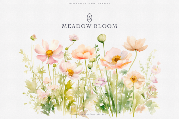 Watercolor Wildflower Borders Set: Illustrations Review