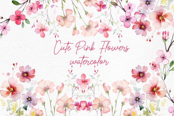 Wild Pink Floral Illustrations: A Designer Review